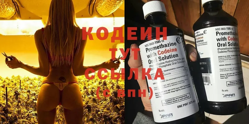 Кодеиновый сироп Lean Purple Drank  Старая Русса 